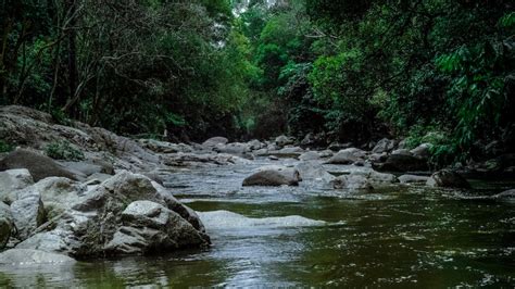 How The Mississippi River Was Formed - Aboutriver.com