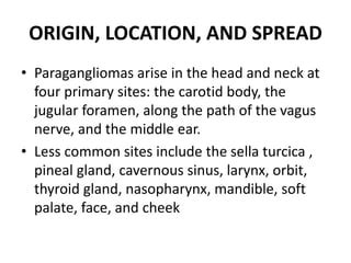 Head and neck paraganglioma | PPT