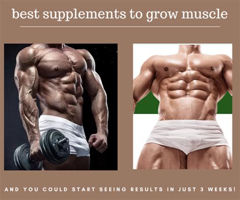 Best Supplements For Muscle Growth