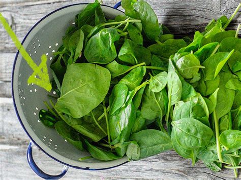 Spinach Nutrition Health Benefits And Diet