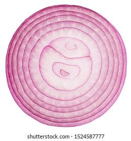 Onions Slices Clipart