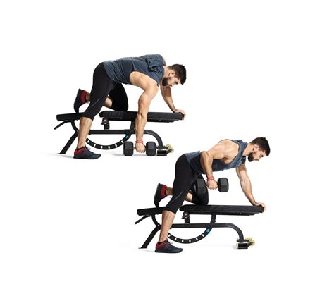 One-Arm Dumbbell Deadstop Row Video - Watch Proper Form, Get Tips ...