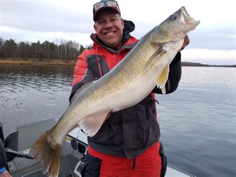 Ohio Walleye Season 2024 Linda Paulita