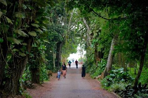 Aburi Botanical Gardens In Ghana Why You Should Visit That Place