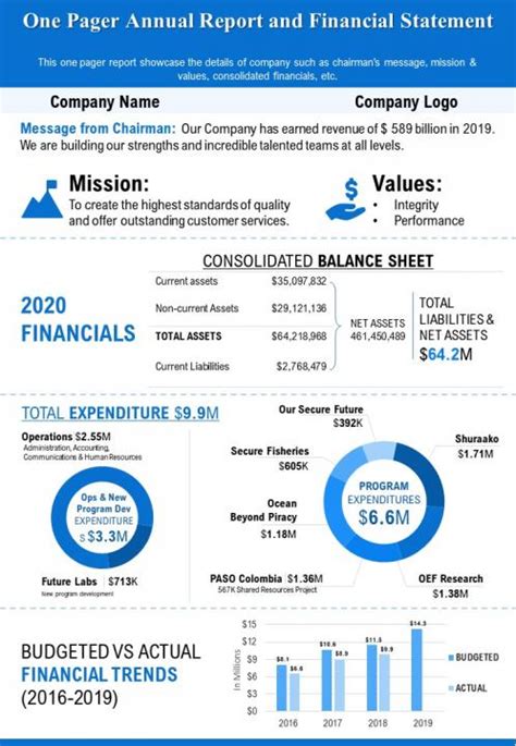 Infographic Annual Report