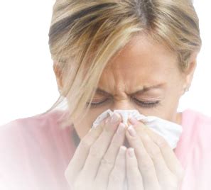 Hay Fever Allergic Rhinitis In Australia Allergy Australia