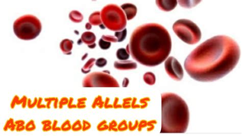 Multiple Alleles Abo Blood Group System Class 12chapter Inheritance