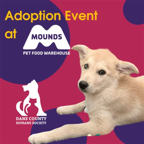 Dane County Humane Society Adoption Event At Mounds Madison