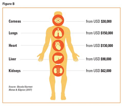 Chapter Organ Trafficking The Cause And Consequence Of Human