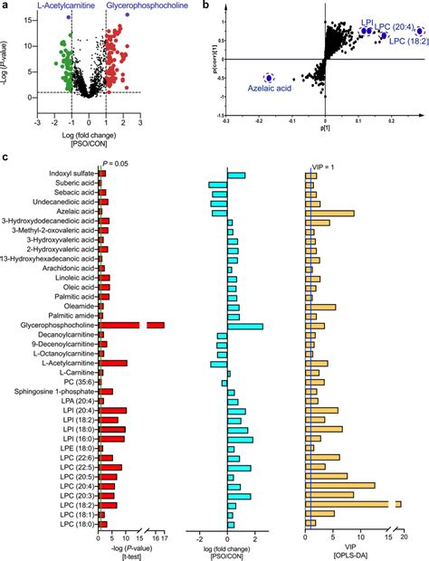 Screening Criteria For The Differential Metabolites Identified In The