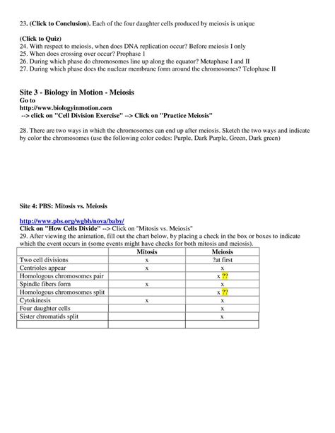 Mitosis Versus Meiosis Worksheet Answer Key Mitosis And Meiosis