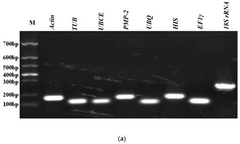 Applied Sciences Free Full Text Selection And Validation Of