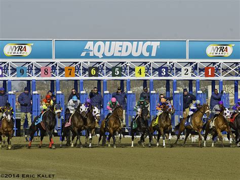 Equibase | Horse Racing | Horse Racing Entries | Horse Racing Results ...
