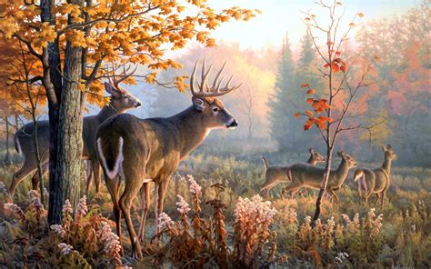 Deer Backgrounds Free Download