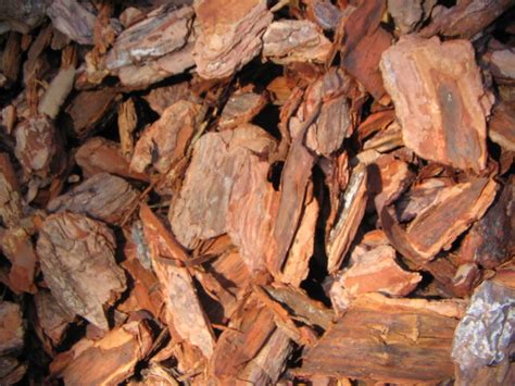 Large Pine Bark Nuggets