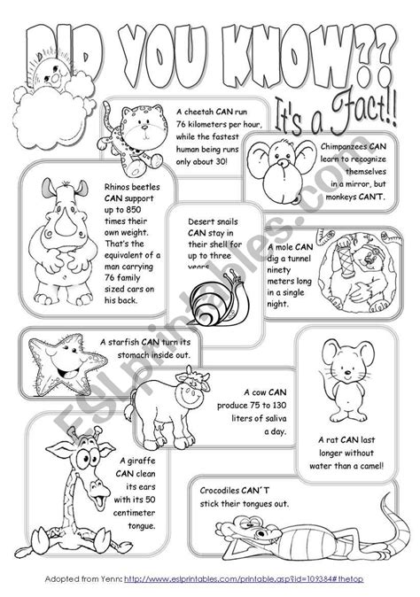 Interesting Facts About Animals - ESL worksheet by Alenka