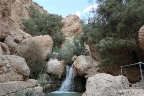 Ein Gedi Nature Rserve The Complete Guide With Maps