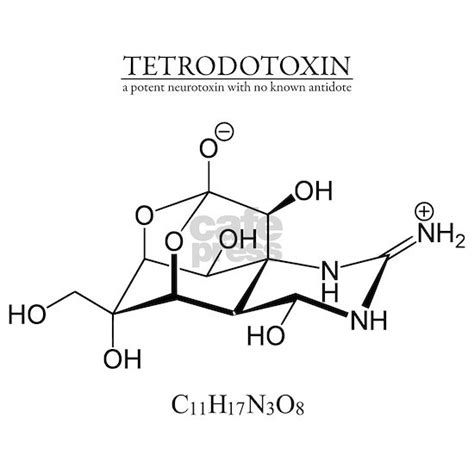 tetrodotoxin: Chemical structure and formula Tile by atamas - CafePress