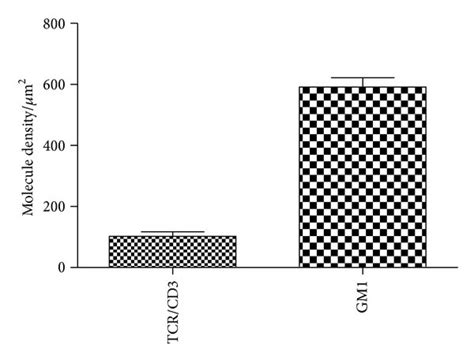 NSOM QD Based Dual Color Imaging Of CD3 And GM1 For T Cells