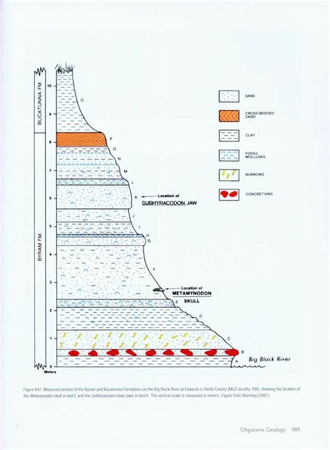 [PDF] The Geology Of Mississippi - Free Download and Read Ebook Iuliathea