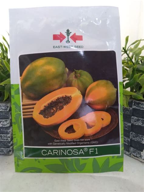 Carinosa F1 Papaya 100 Seeds Lazada Ph