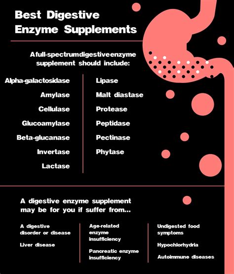 Understanding Digestive Plant Enzymes Benefits Not To Miss The