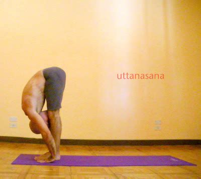 YOGA SU PRÁCTICA Y FILOSOFÍA SURYA NAMASKARA B ashtanga vinyasa yoga