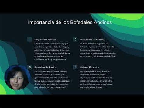 Avance De Portafolio 1 Luz Clarita Washualdo Mamani YouTube