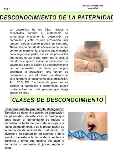 Derecho Civil Familia Pdf