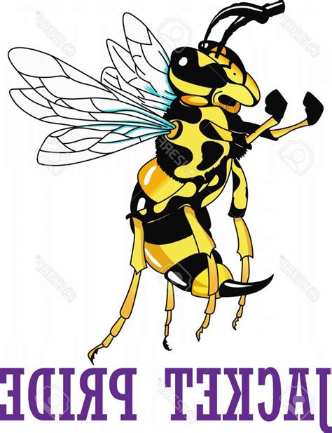 Yellow Jacket Vector at Vectorified.com | Collection of Yellow Jacket ...