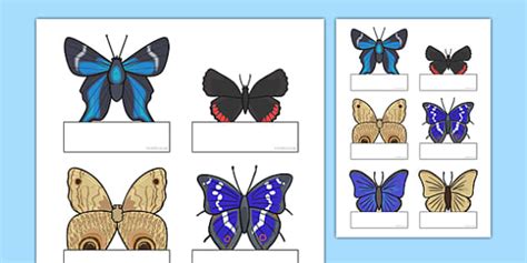 Editable Self Registration Cards Butterfly Teacher Made