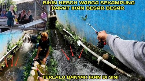 Heboh Banget Mancing Di Selokan Bikin Geger Warga Kampung LM43 YouTube