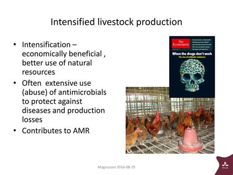 Antimicrobial Resistance Linkages Between Improved Nutrition