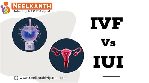 Iui Vs Ivf Know The Differences And Success Rates By Neelkanth Infertility And Ivf Centre Patna