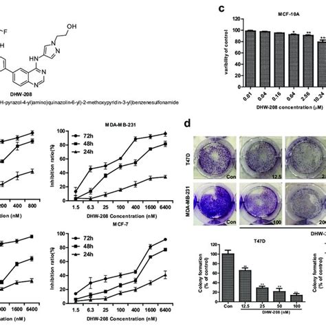 Dhw Induces A Potent Antitumor Effect In T D Nude Mouse Xenograft