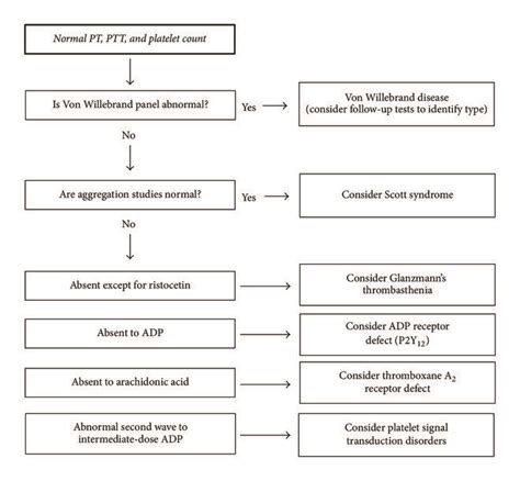 Algorithm For The Evaluation And Differential Diagnosis Of Bleeding