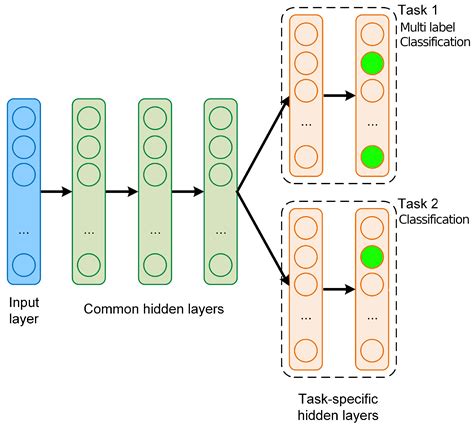 What Is The Difference Between Multi Label And Multi Task