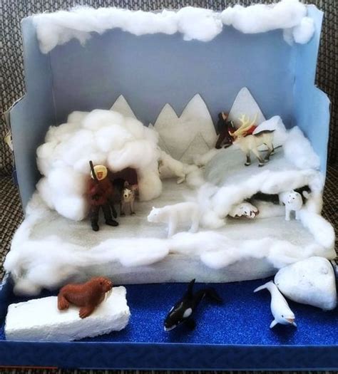 Arctic Fox Habitat Diorama