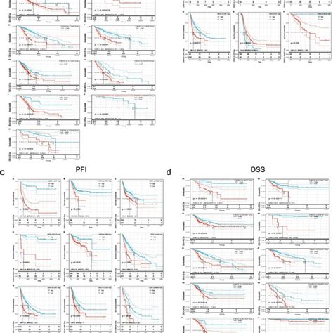 Phosphorylation Analysis Of Cbx3 Protein In Multiple Tumors Based On