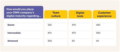 The Next Level Of Digital Maturity Strategies Revealed Commercetools