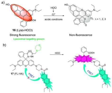 The Proposed Sensing Mechanism For The Fluorescence Response Of A