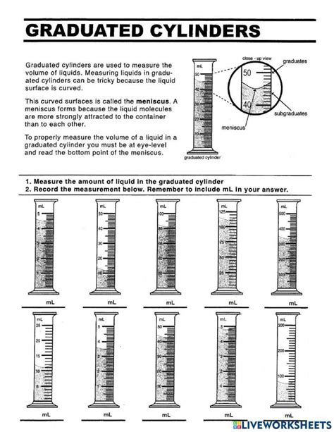 Measuring Graduated Cylinder Worksheet – Printable PDF Template