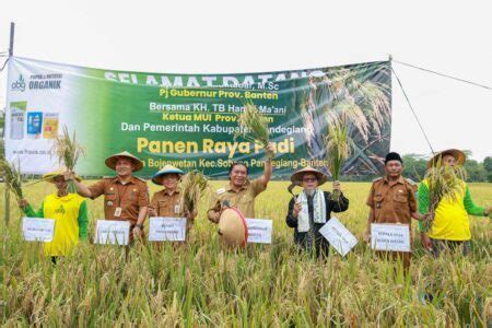 Produksi Gabah Dan Ntp Provinsi Banten Meningkat Sigma Interaktif