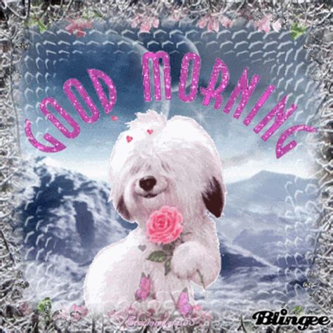 Good Morning Dog GIF - Good Morning Dog Smile - Discover & Share GIFs