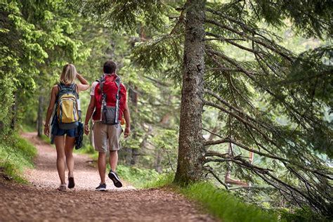 Se promener dans une forêt vous expose à une amende