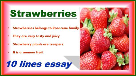 Lines On Strawberry Fruit In English My Favourite