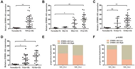 Znrd1 As1 Promotes Nasopharyngeal Carcinoma Cell Invasion And Metastas