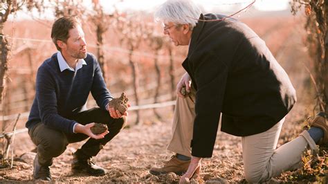 Understanding Biodynamic Viticulture