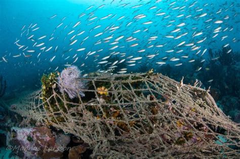 Campaign To Clear ‘ghost Nets From Mergui Archipelago Myanmar The