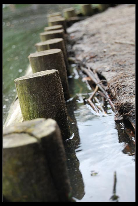 slupki  garret  deviantart